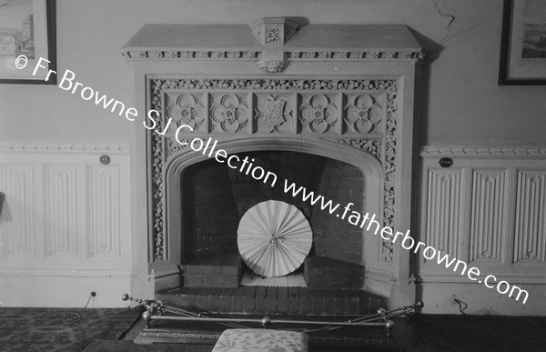 LISMORE CASTLE  DUKES STUDY FIREPLACE